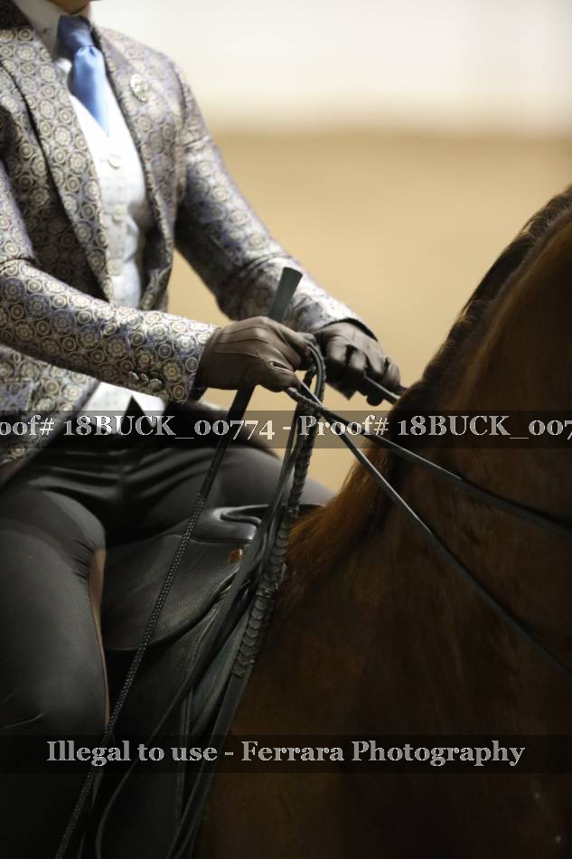 Proof 18BUCK_00774