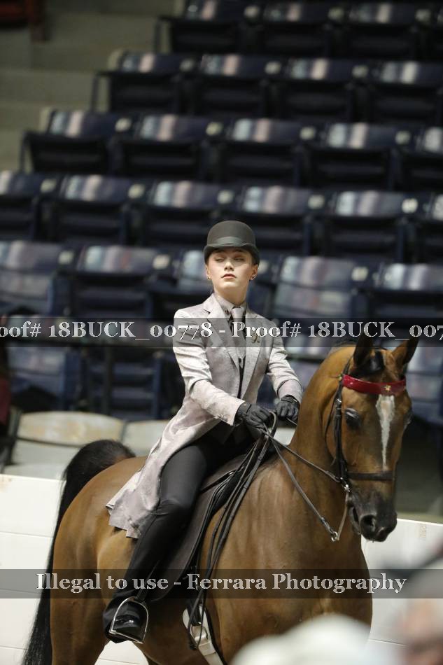 Proof 18BUCK_00778