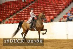 18BUCK_00780 proof