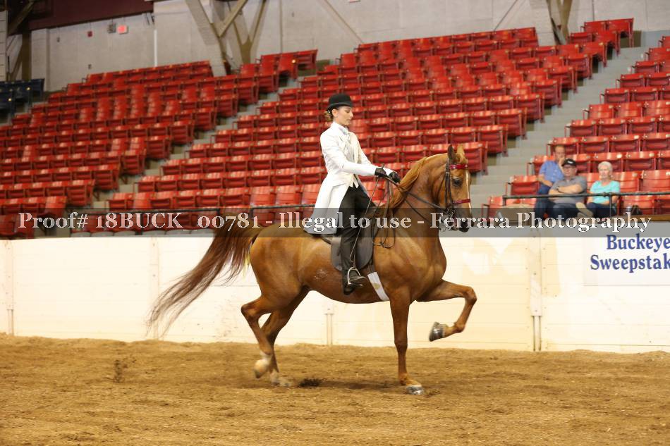 Proof 18BUCK_00781