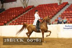 18BUCK_00781 proof
