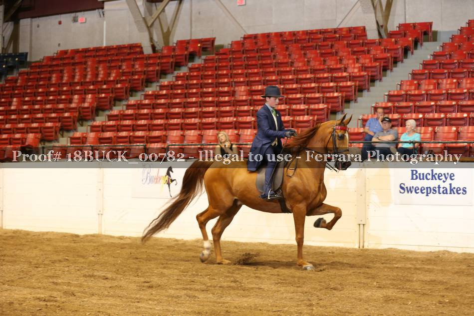 Proof 18BUCK_00782