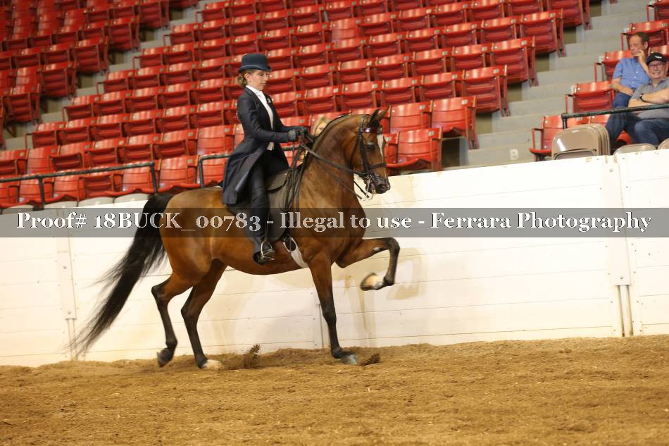 Proof 18BUCK_00783