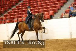 18BUCK_00783 proof
