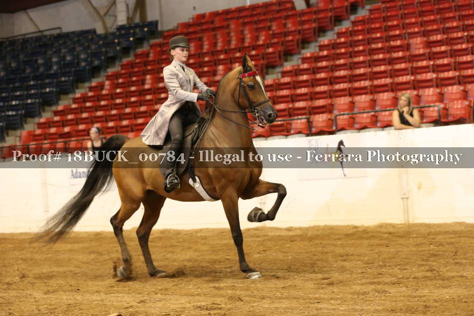 Proof 18BUCK_00784