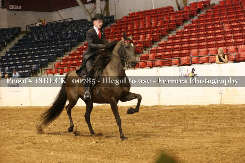 Proof 18BUCK_00785