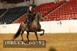 18BUCK_00785 proof