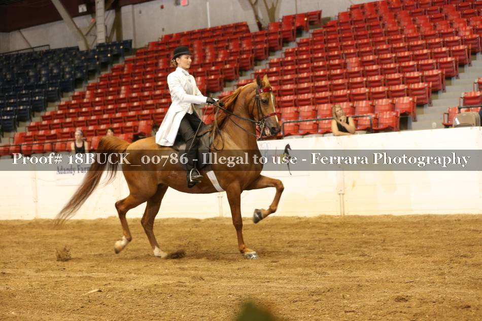 Proof 18BUCK_00786