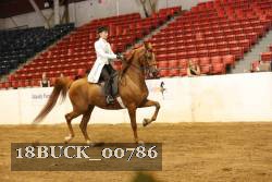 18BUCK_00786 proof