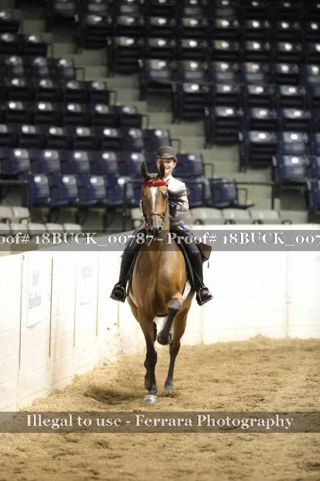Proof 18BUCK_00787