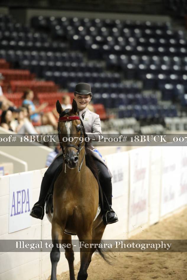 Proof 18BUCK_00790