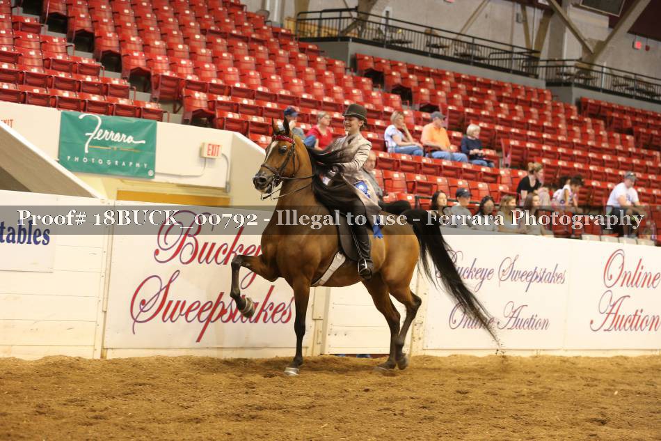 Proof 18BUCK_00792