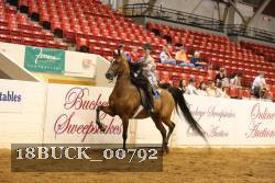 18BUCK_00792 proof