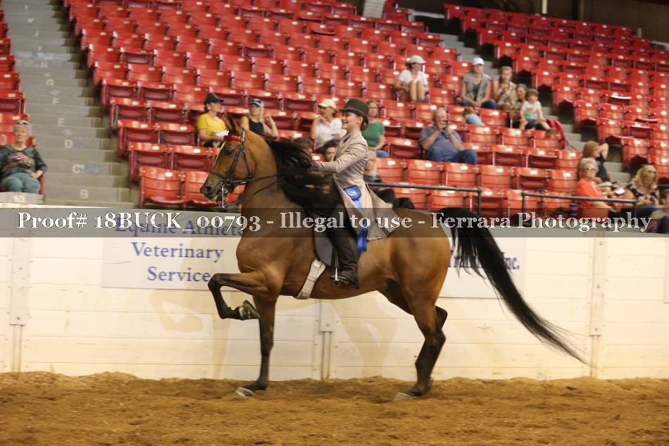 Proof 18BUCK_00793