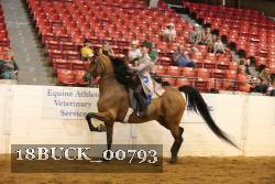 18BUCK_00793 proof