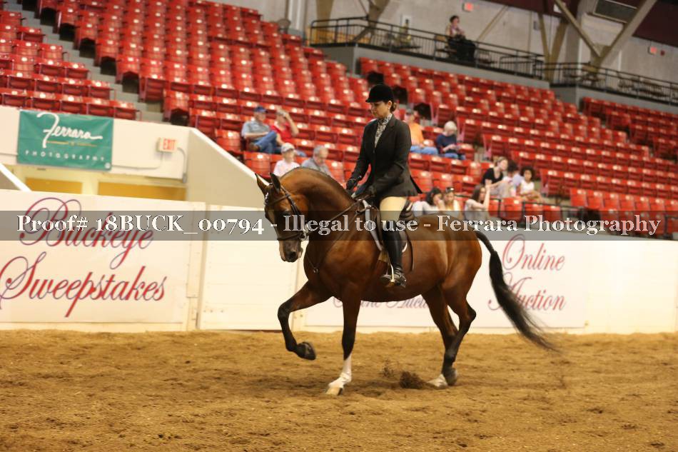 Proof 18BUCK_00794