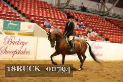 18BUCK_00794 proof