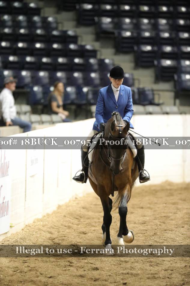 Proof 18BUCK_00795