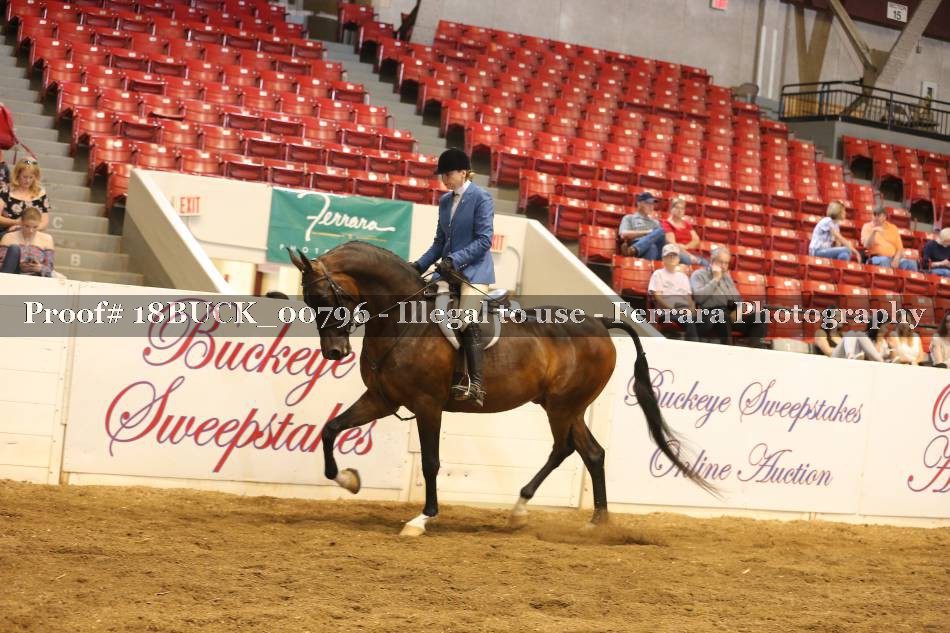 Proof 18BUCK_00796