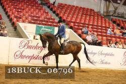 18BUCK_00796 proof