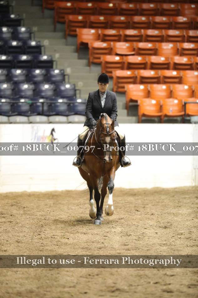 Proof 18BUCK_00797