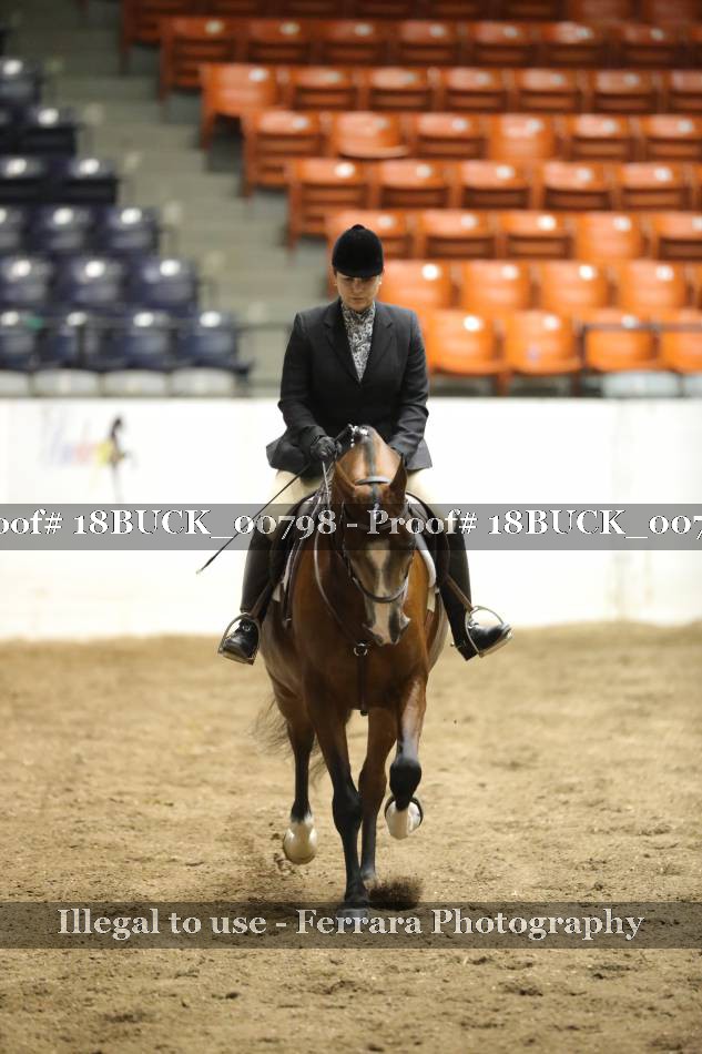 Proof 18BUCK_00798