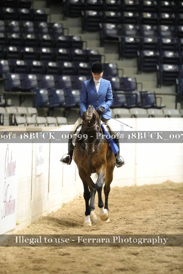 Proof 18BUCK_00799