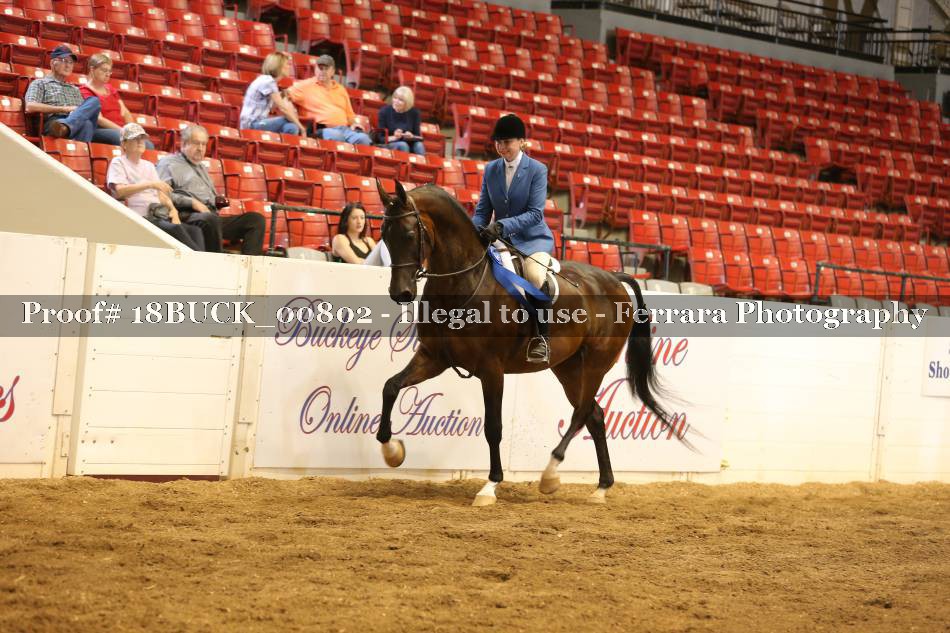 Proof 18BUCK_00802