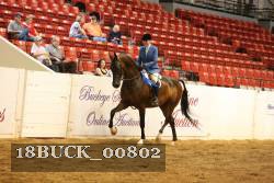 18BUCK_00802 proof
