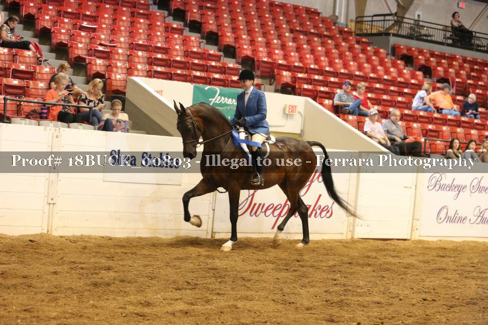 Proof 18BUCK_00803