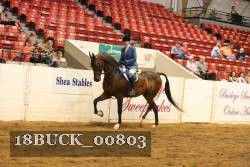 18BUCK_00803 proof
