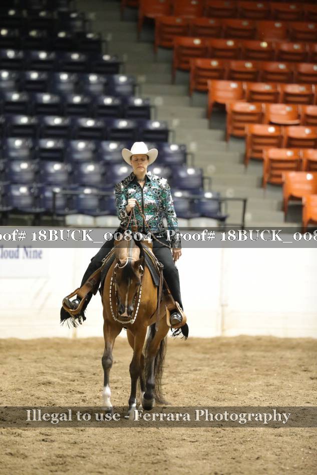Proof 18BUCK_00804