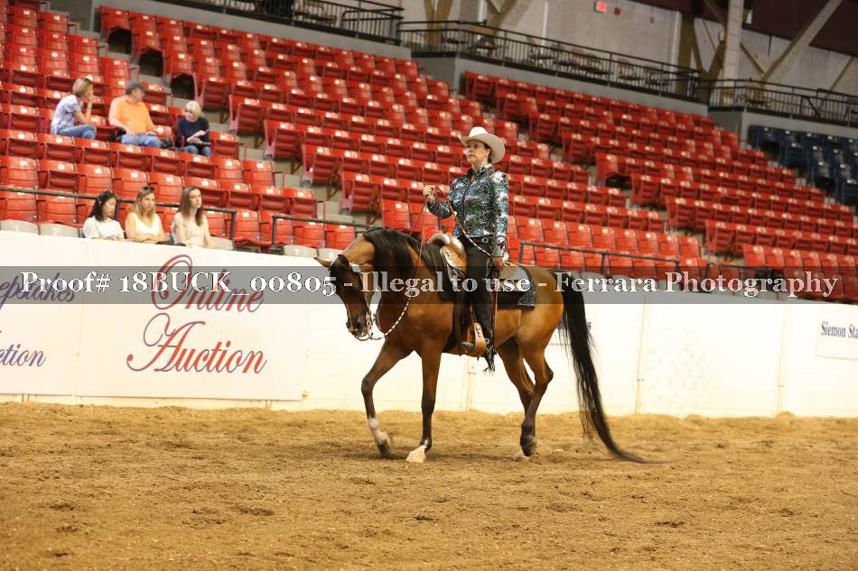Proof 18BUCK_00805