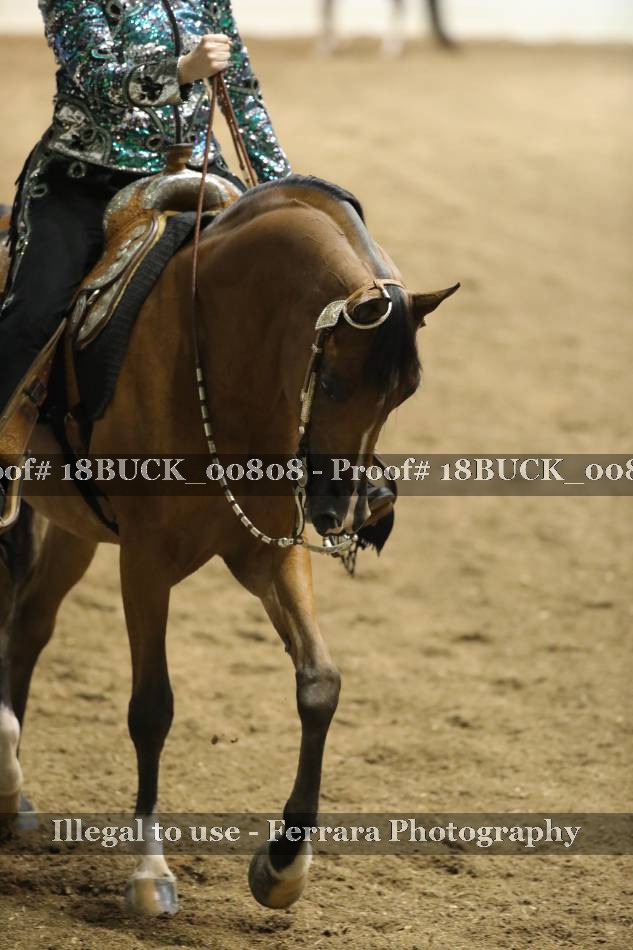 Proof 18BUCK_00808