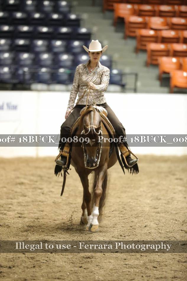 Proof 18BUCK_00809