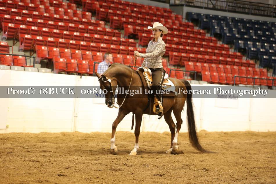 Proof 18BUCK_00810