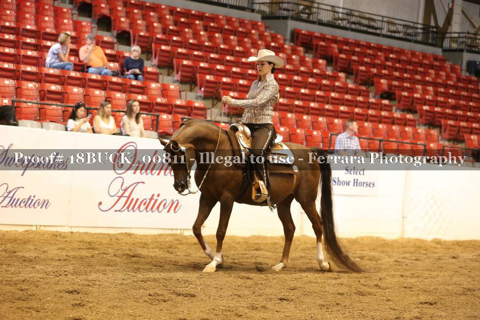 Proof 18BUCK_00811