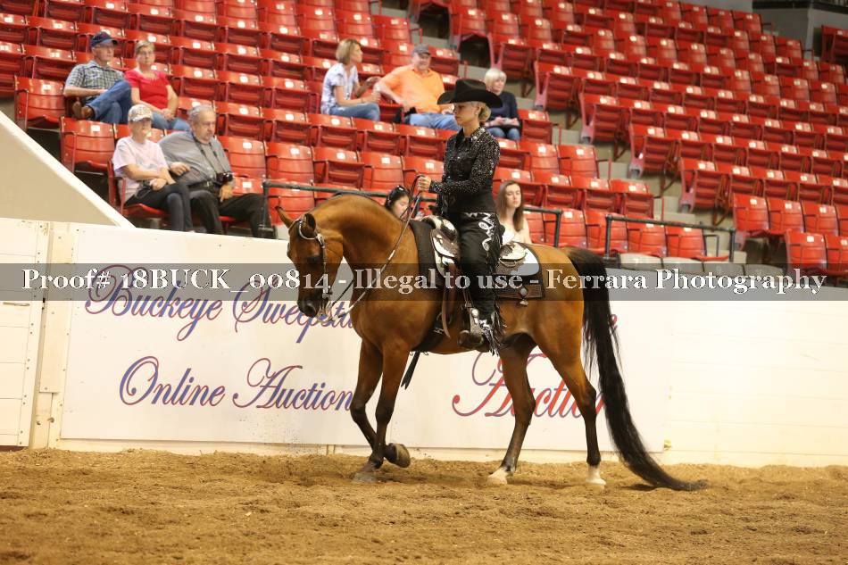 Proof 18BUCK_00814