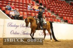 18BUCK_00814 proof