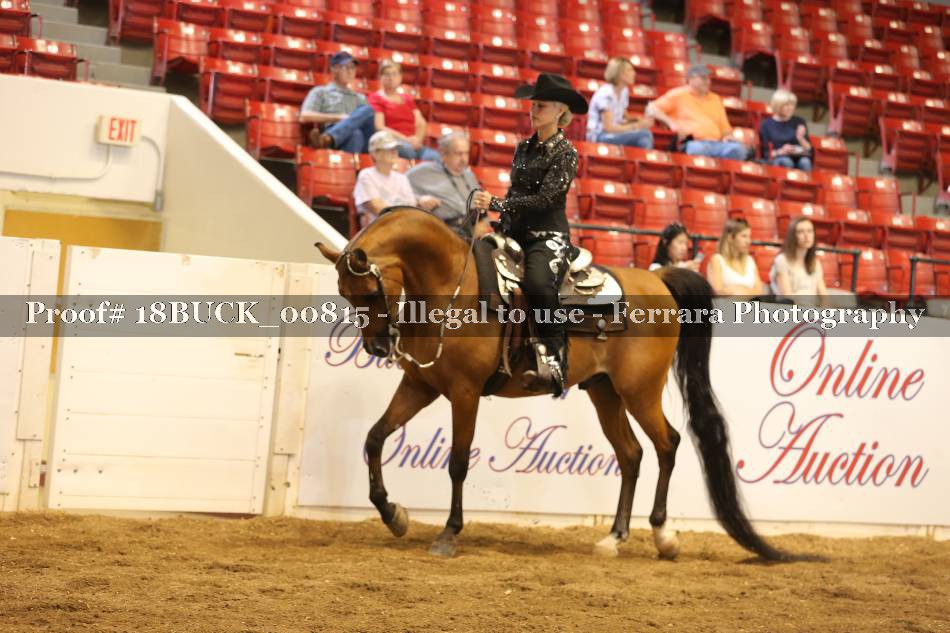 Proof 18BUCK_00815