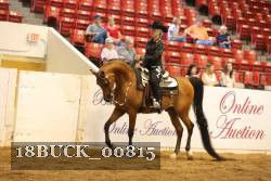 18BUCK_00815 proof