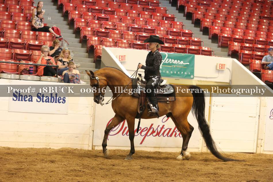 Proof 18BUCK_00816