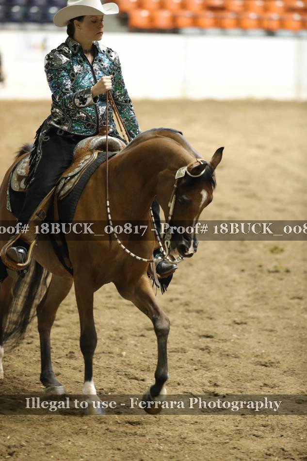 Proof 18BUCK_00817
