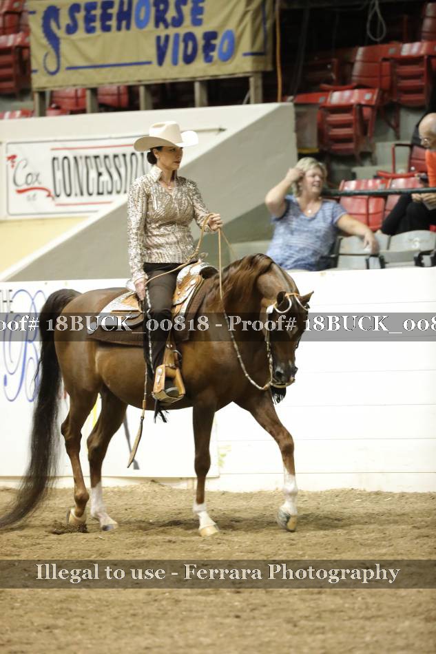 Proof 18BUCK_00818