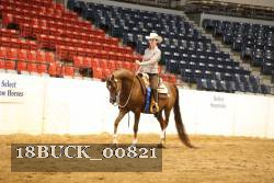 18BUCK_00821 proof