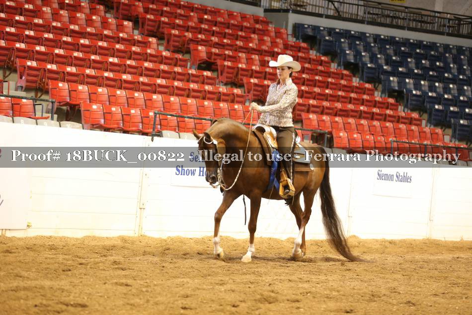 Proof 18BUCK_00822
