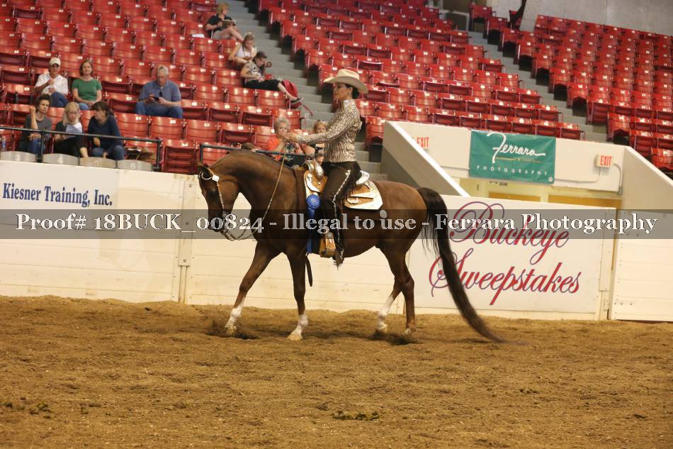 Proof 18BUCK_00824