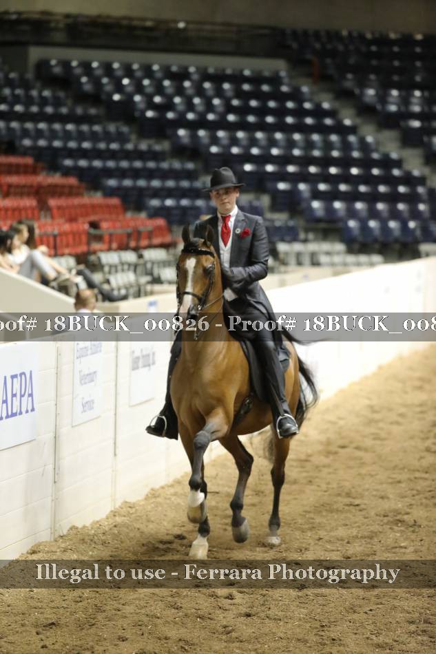 Proof 18BUCK_00826