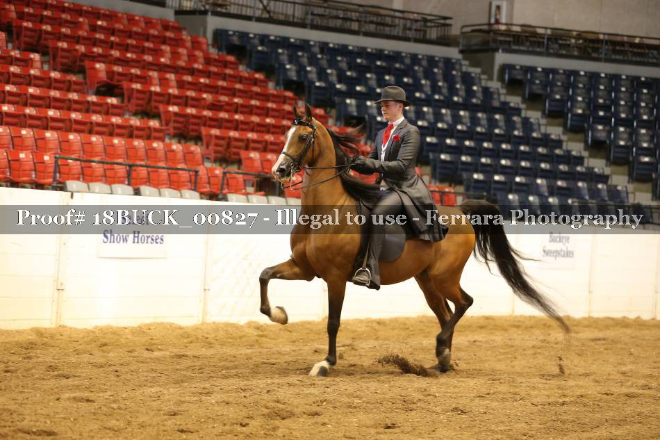 Proof 18BUCK_00827