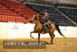 18BUCK_00827 proof